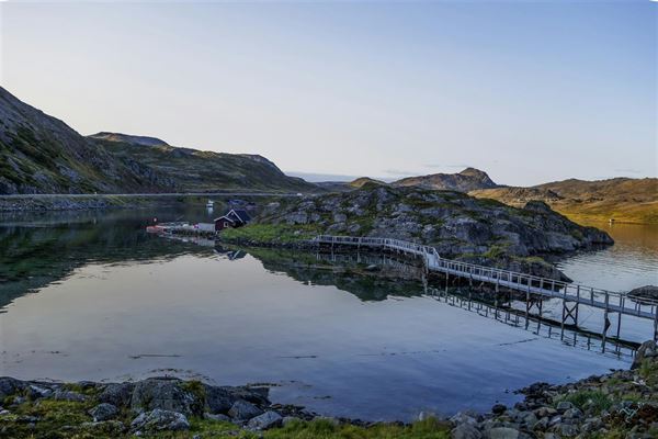 Upptäck skönheterna i norsk tröja mönster dam